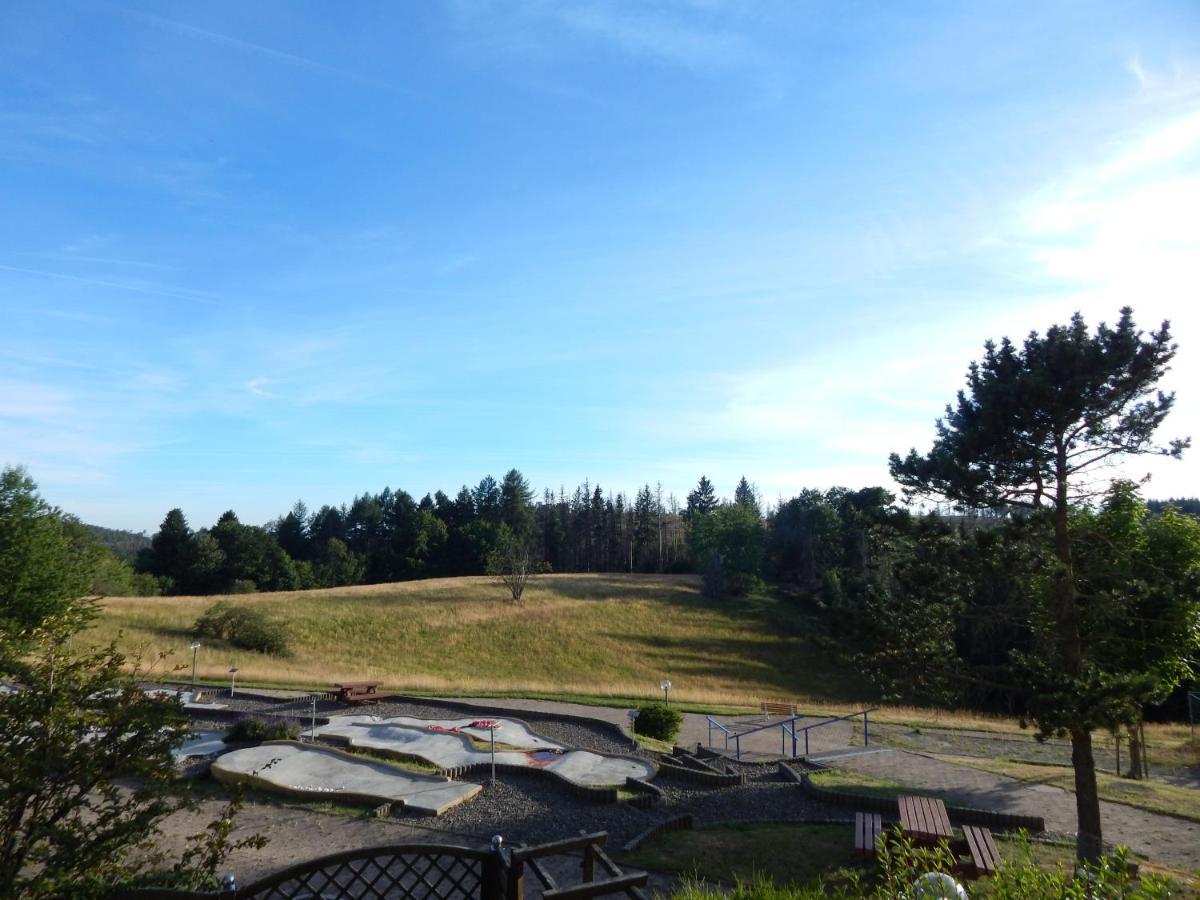 Ferienwohnung "Rodelnde Geiss" Mit Schwimmbad Braunlage Zewnętrze zdjęcie