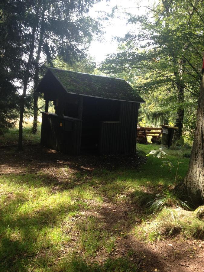 Ferienwohnung "Rodelnde Geiss" Mit Schwimmbad Braunlage Zewnętrze zdjęcie