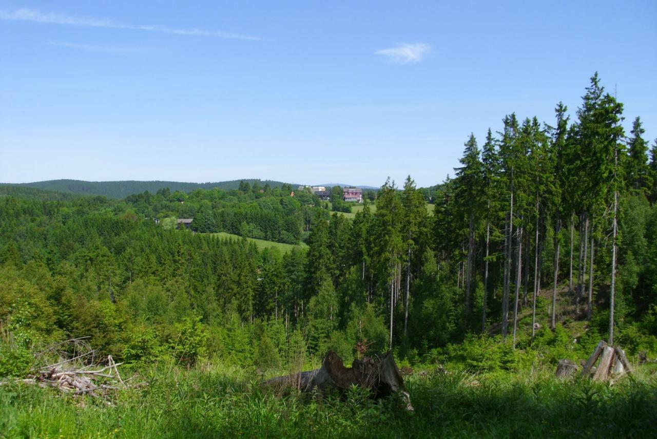 Ferienwohnung "Rodelnde Geiss" Mit Schwimmbad Braunlage Zewnętrze zdjęcie